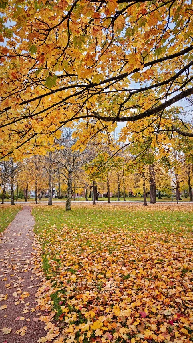 A park path beneath a canopy of autumn leaves